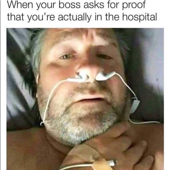 Meet your Posher, Kerri - Picture 7 of 8